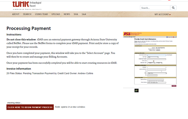 Processing payment page 